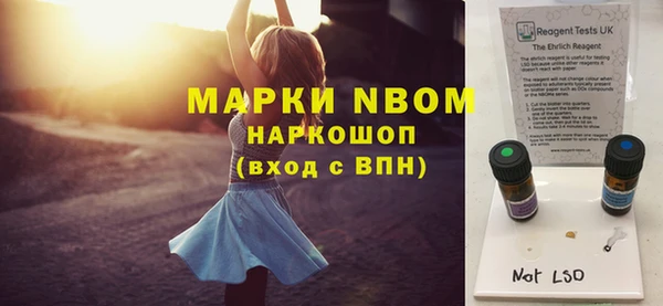 прущие грибы Баксан