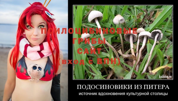 синтетический гашиш Арсеньев